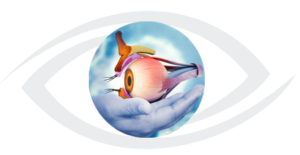 Expert retina specialist performing vitrectomy surgery at ABO Eye Hospital Nagpur