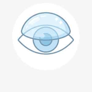 Cornea